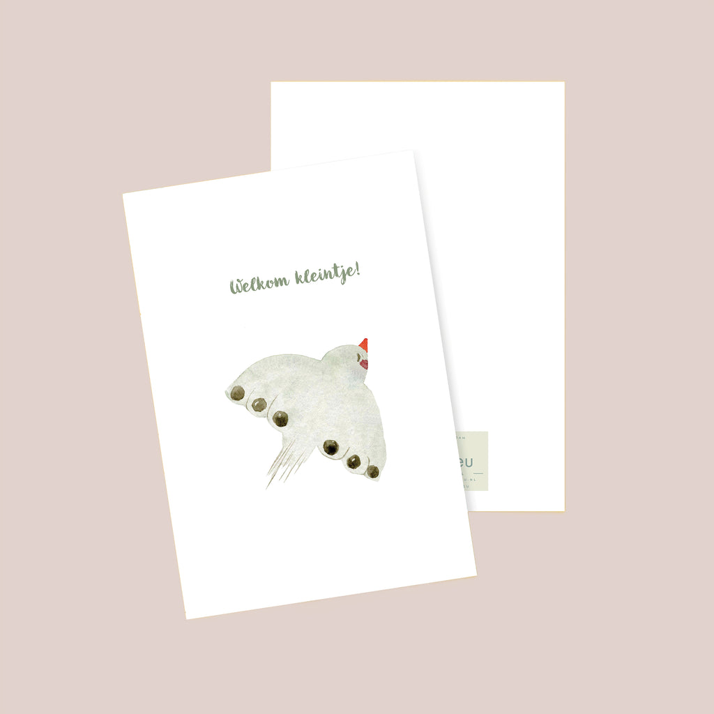 Welkom Kleintje Postcard