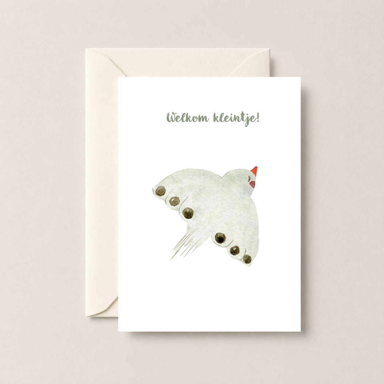 Welkom Kleintje Postcard