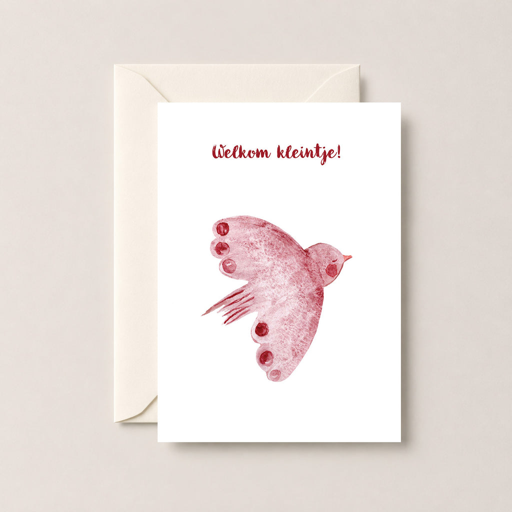 Welkom Kleintje Postcard