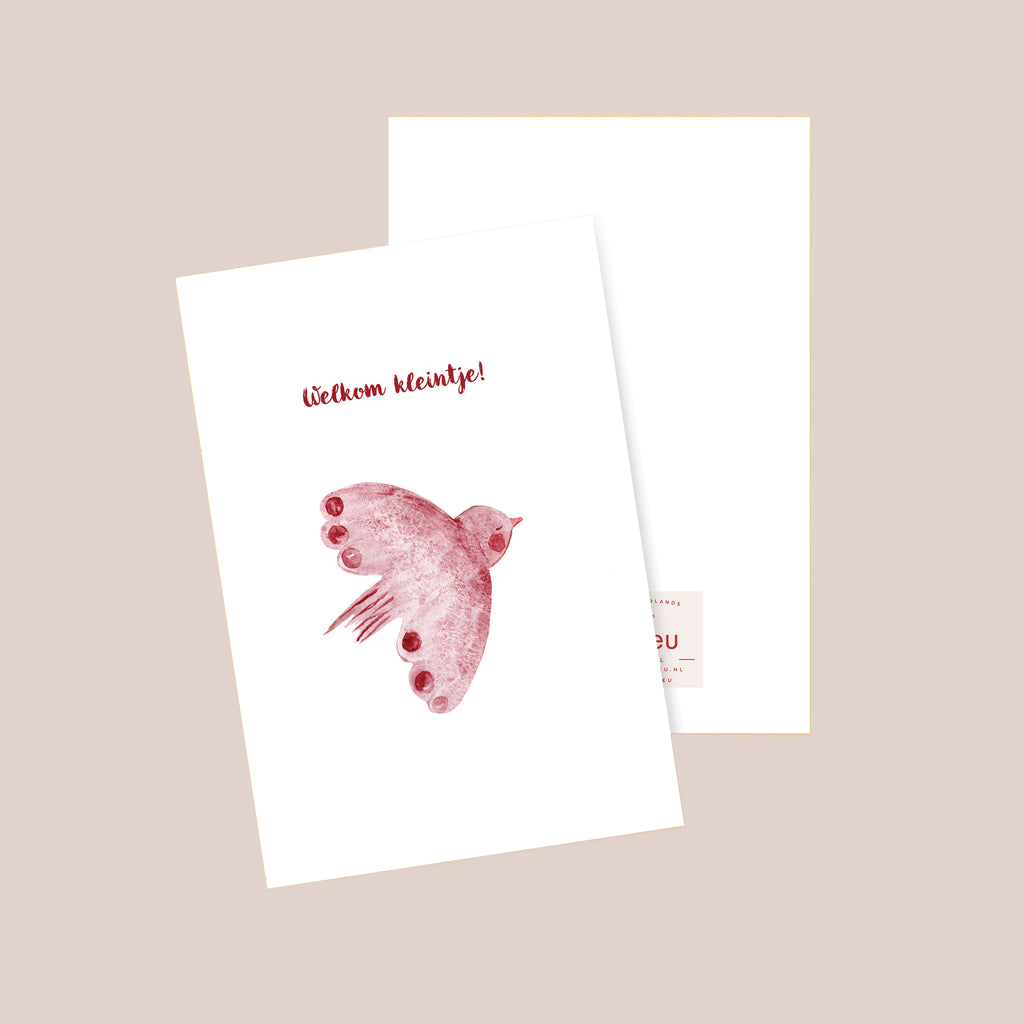Welkom Kleintje Postcard