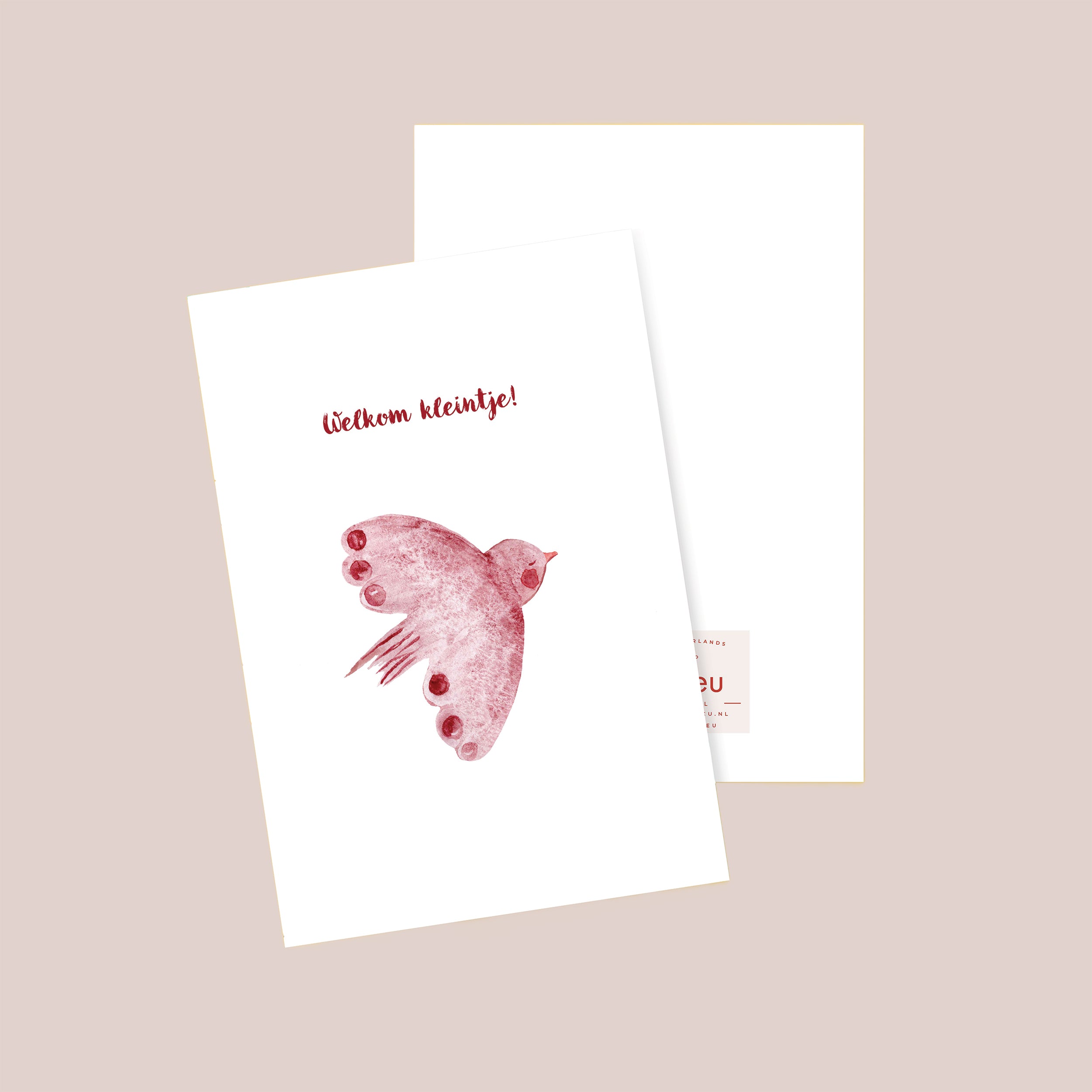 Welkom Kleintje Postcard