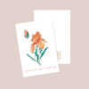 Iris condolences Postcard